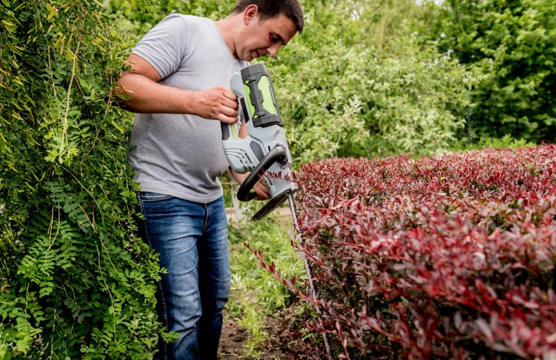 Increase Your Hedge Trimming Services Business with an AI Driven, Targeted Website