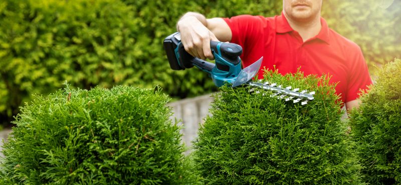 hedge trimming services
