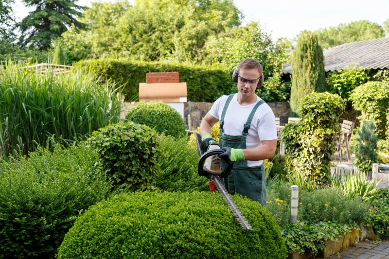 hedge trimming services