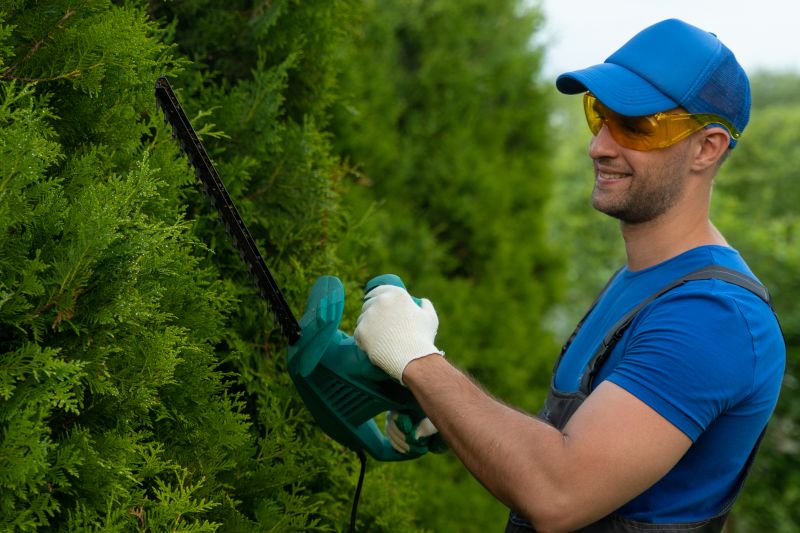Hedge Trimming Services