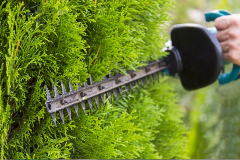 Hedge Maintenance Equipment