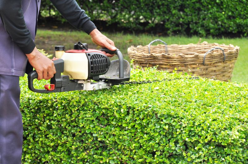 Hedge Trimming Services