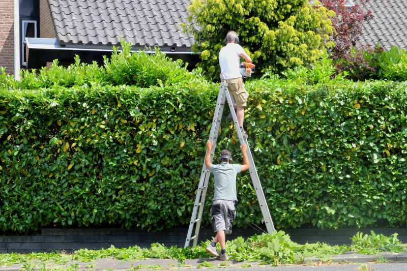 Hedge Trimming Services