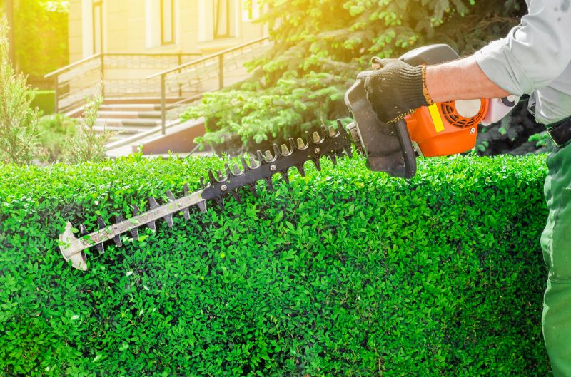 Hedge Trimming Services