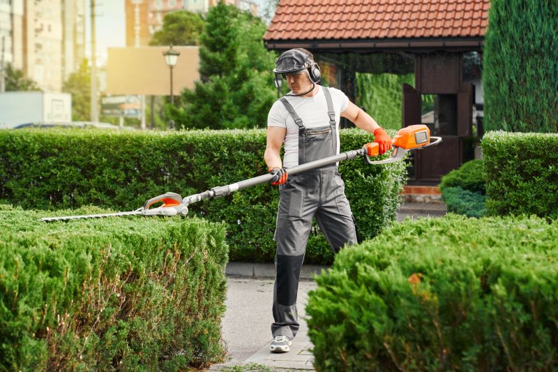hedge trimming services